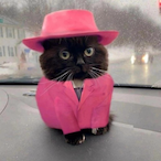 Maksyashka's Avatar'