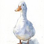 PapaDuck123's Avatar'