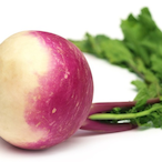 Turnip.R6's Avatar'