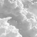 Zand3r2day's Avatar'