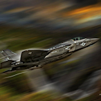 Vinnie.CRM's Avatar'