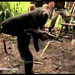 MonkeyWith_Ak47's Avatar'