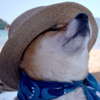 Ii_Spyro_x's Avatar'