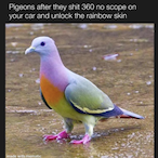 Ag3nt_Gh0st's Avatar'