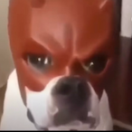 DonutDunker21's Avatar'