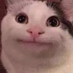 RogThePog's Avatar'