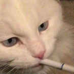 im crine g's Avatar'