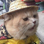 SlytoUbiDev's Avatar