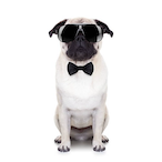 Ewze's Avatar'