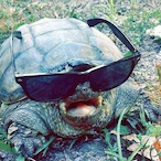 qkuip's Avatar'