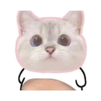 dcbtr's Avatar'