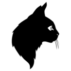 TYHHGFTFEDSXCDCS's Avatar'