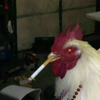 mayersNot's Avatar'