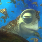 HibanaShrimp's Avatar'