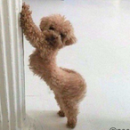 CamilaCutie.'s Avatar'