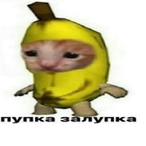 DydOnis's Avatar'