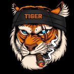 Soldier IR's Avatar'
