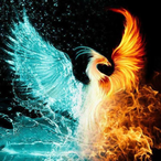 Norig_'s Avatar'