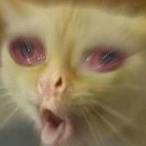 SwaglockDestiny's Avatar'