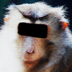 GloomyStork's Avatar'