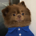 MrTehzatron's Avatar'