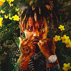 yzzrT's Avatar'