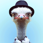 GrayMatter11's Avatar'