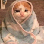 CokaCola98's Avatar'