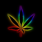 TheDarkFlamez's Avatar'