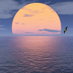 nXt_Horizon_'s Avatar'