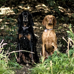 akkarin6666's Avatar