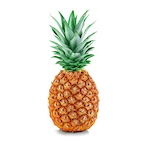 RRafSimmonsCoat's Avatar'