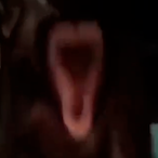 InsaneMonkey421's Avatar'