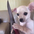 mincedmoosemeat's Avatar'