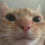 Sugma_BaIIs.'s Avatar'