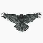 X_.CROW._X's Avatar'