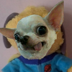 lililiRio's Avatar'