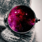 Xowder's Avatar'