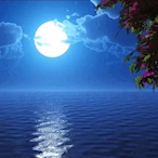 BlueUnion's Avatar'