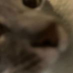 Coolbatman1081's Avatar'