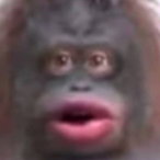 Monkey.Stinky's Avatar'