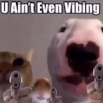 onenutwonderbb's Avatar'