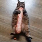 AltijdThomas2's Avatar'