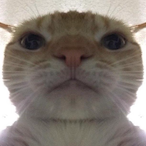 Ate77cashnow's Avatar'