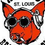 Thedynamicpig's Avatar'