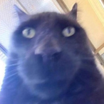 KrakenProphet's Avatar'