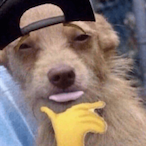 CooperIsCopper's Avatar'