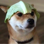 Gr8McGriddle's Avatar'