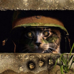 DreadedWraith's Avatar