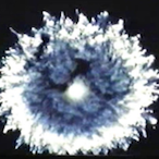 Star_Fish_Prime's Avatar'